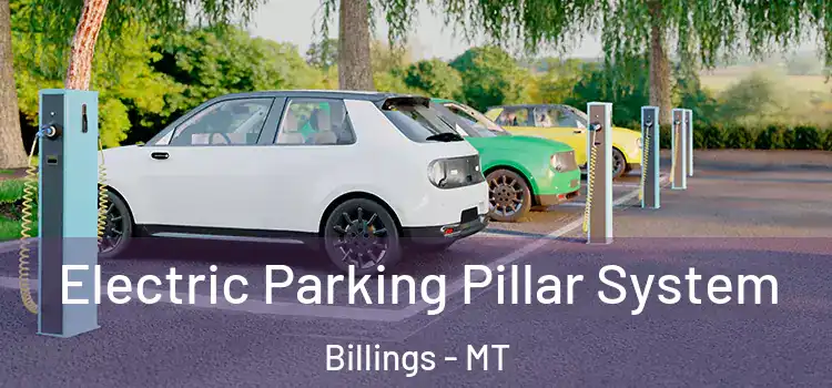 Electric Parking Pillar System Billings - MT
