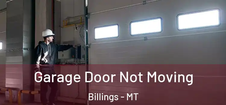  Garage Door Not Moving Billings - MT